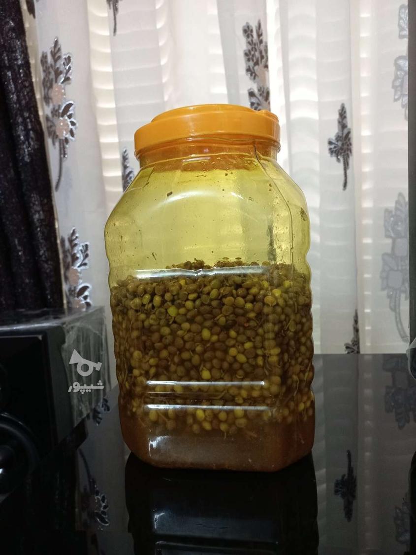 6بسته بهار نارنج درجه یک اعلاء/3کیلوترشی بنه/غنچه گل محمدی