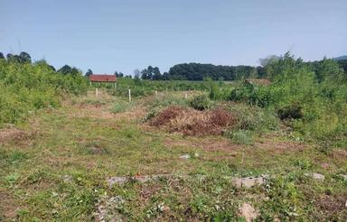 فروش زمین 250 متری حوالی تالاب سوخته‌کوه لاهیجان