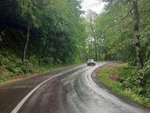 فروش زمین مسکونی 1550 متر در خوشابر در شیپور