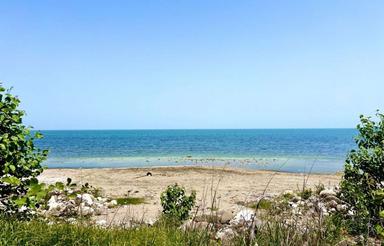 فروش زمین مسکونی 2500 متر در چلک نوشهر(ارزنده)