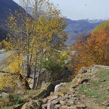 زمین مسکونی 240 متر در لاریجان نمارستاق گلاز (معاوضه)