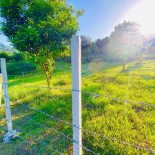 زمین 300 متری در گمل داخل طرح