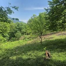 فروش فوری 268 متر زمین کاربری مسکونی داخل بافت روستای سیمت