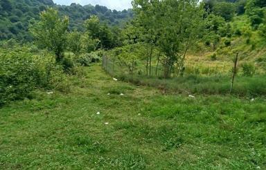 فروش زمین 4016 متری باغی در منطقه زیبای آزارستانکی لاهیجان