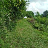 فروش زمین 4016 متری ویو دار باغ میوه در آزارستانکی