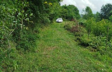 فروش زمین 4016 متری ویو دار باغ میوه در آزارستانکی