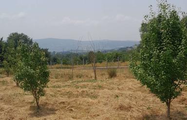 فروش زمین 1000 متر در وارد محله