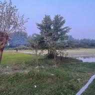 زمین کشاورزی 700 متر در منطقه آزاد