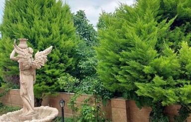 زمین کشاورزی 1,677 متری در گلسار