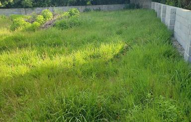 فروش زمین مسکونی 297 متر در تنگدره رامسر