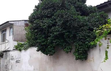 مشارکت در ساخت ویلایی 200 متر دو طرف عبور بلوار منفرد