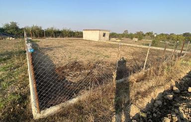 فروش فوری زمین کشاورزی 463 متر