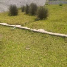 فروش زمین با نامه مستثنیات در مرکز شهر - چمخاله