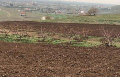 زمین تفکیکی خانه باغی 350 متر جنب شهرک سلیم بهرامی