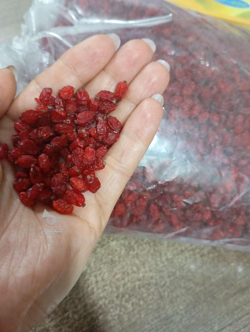 زرشک پفکی درجه 1