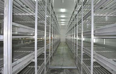 فروش 5800 متر زمین با 12 سوله پرورش قارچ با مجوز در ساری