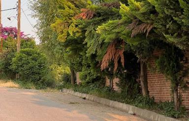 فروش زمین 386 متری بافت مسکونی در لوکیشن تاپ و خوش قیمت