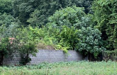 فروش زمین مسکونی 1850 متر در پایین کولا