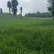 فوری 4500 متر زمین با ویو عالی در جاده کیاسر