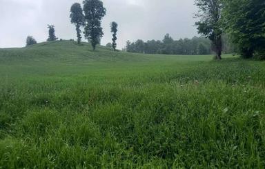 فوری 4500 متر زمین با ویو عالی در جاده کیاسر