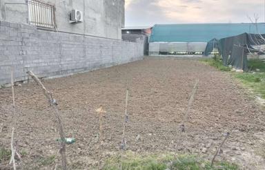 فوری 300مترزمین واقع در اله چال