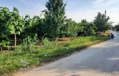 فروش زمین کشاورزی 1520 متر در نجارکلا قدیم