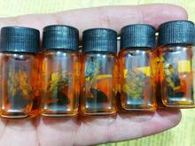 مهره مار اصل برنجی سیاه +کیف در شیپور