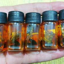 مهره مار اصل برنجی سیاه +کیف