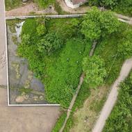 زمین مسکونی-مزروعی 1000 متری داخل بافت روستای کیاسرا|