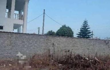 فروش زمین مسکونی 380 متر در هلی باغ