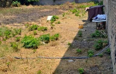 زمین مسکونی ویلایی ساری