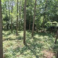 زمین 424 متری