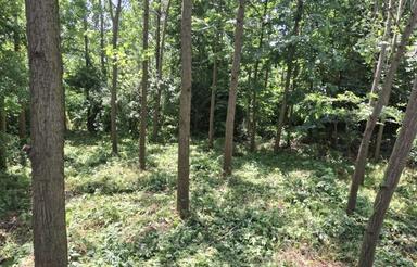 زمین 424 متری