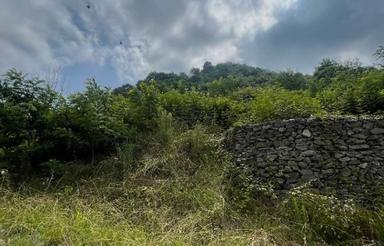 زمین کوهستانی ویو از دو طرف در سعدی لاهیجان