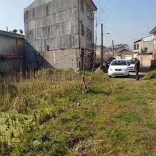 فروش زمین مسکونی لنگرود جاده چمخاله