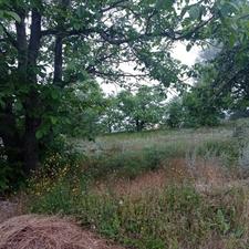 فروش زمین مسکونی 200 متر در نمارستاق