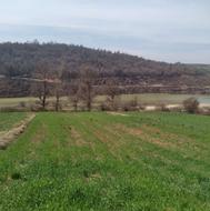 فروش زمین حاشیه سد گلورد روستای ولم رو به آب دریاچه سد