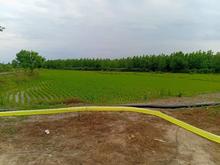 فروش زمین کشاورزی 73000 متر در جاده آبکنار در شیپور