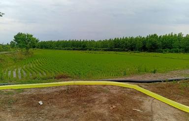 فروش زمین کشاورزی 73000 متر در جاده آبکنار