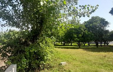 فروش زمین 4700 متری بافت