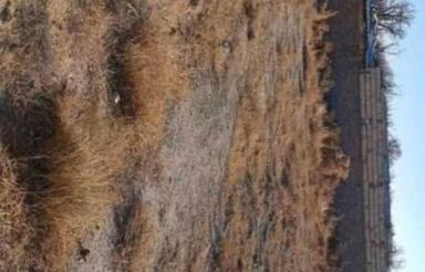 زمین ویلایی