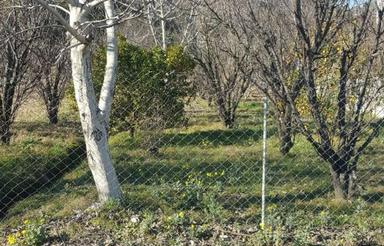 فروش زمین مسکونی 430 متر در شکتا