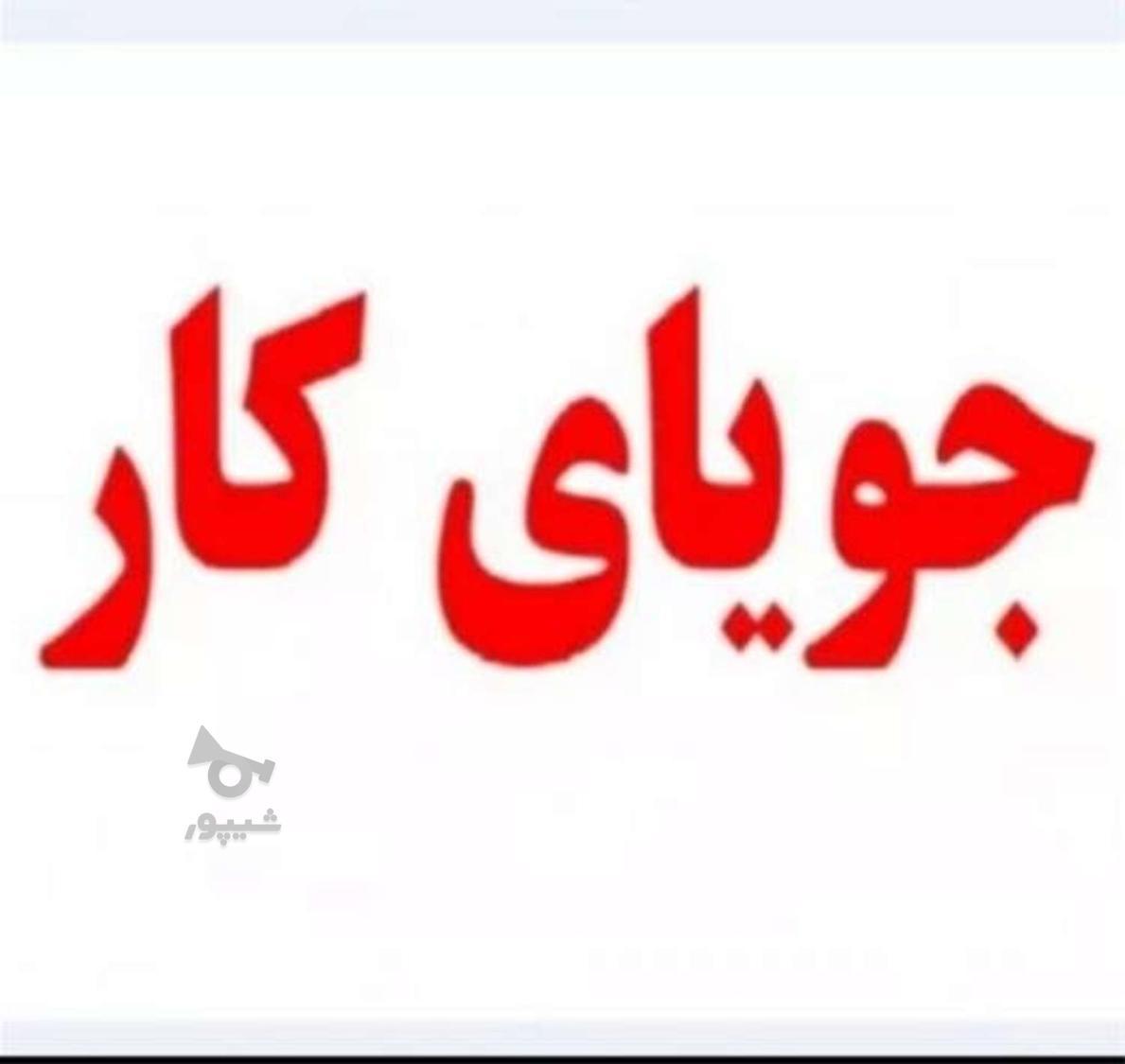جویای کار در منزل هستم - undefined