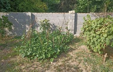 فروش ویلا 400 متر در گفشه