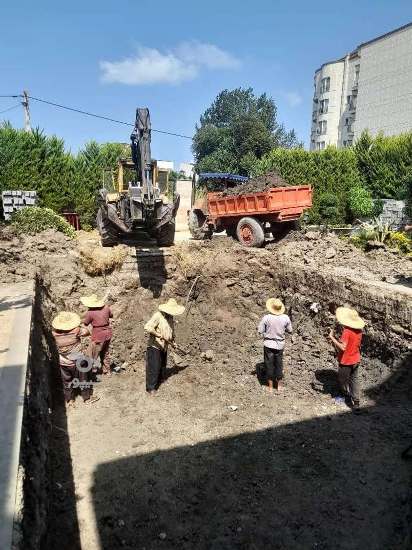 هرس کاری پا بیل کردن کود پاشی سم پاشی کاشت نهال