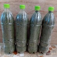 نعنا خشک شده محلی ارگانیک