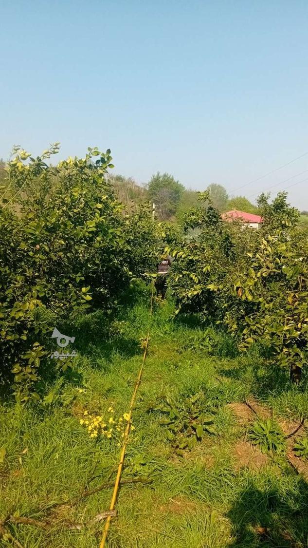 نیازمند سرایداری و باغداری و... - جوادمحمدزاده