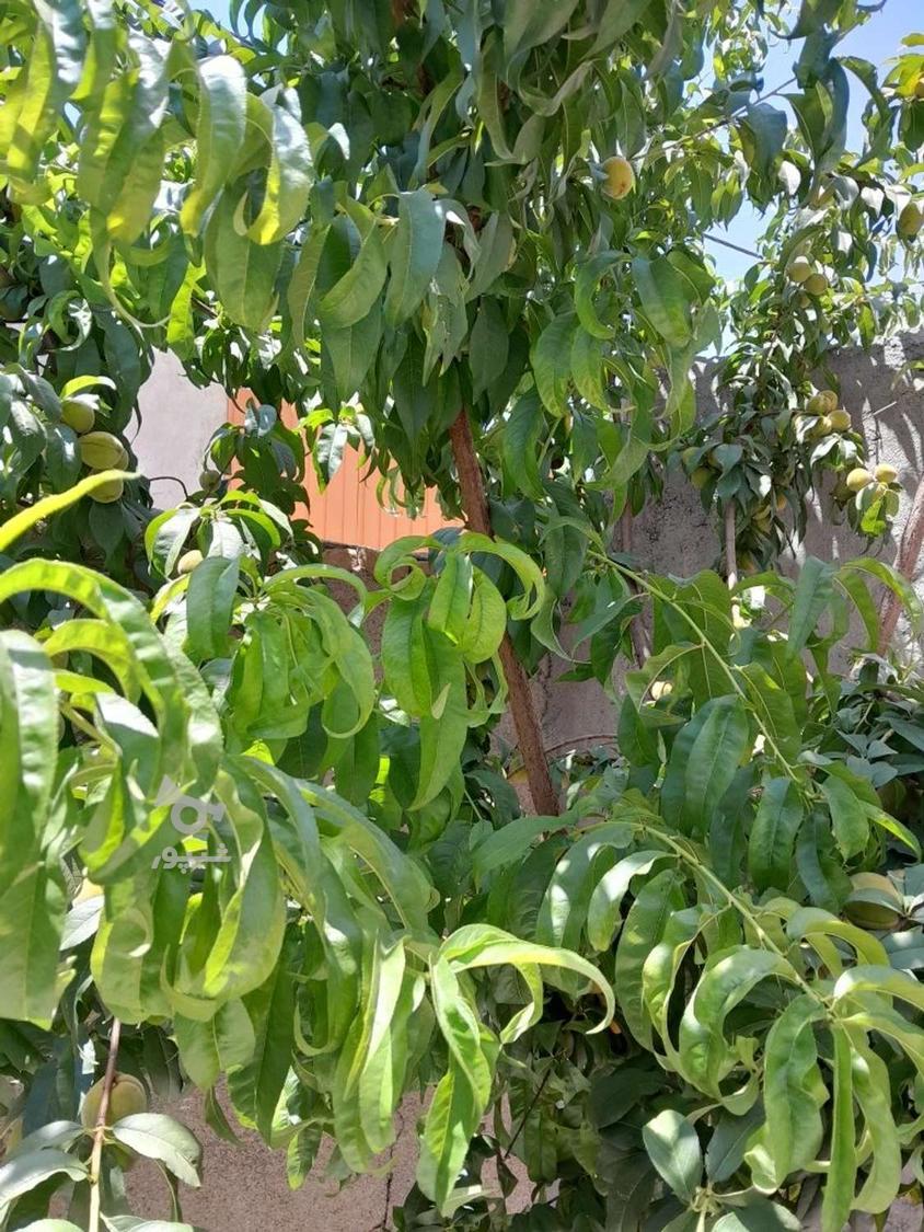 جویای کار هستم کارگر ساده - undefined