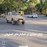 ژیان معمولی کلاسیک58
