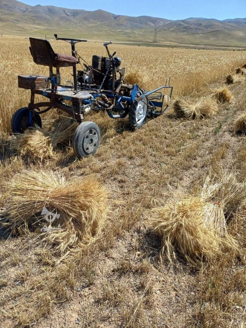 خدمات دروگر علف چین گندم چین پایه بلند و پایه کوتاه